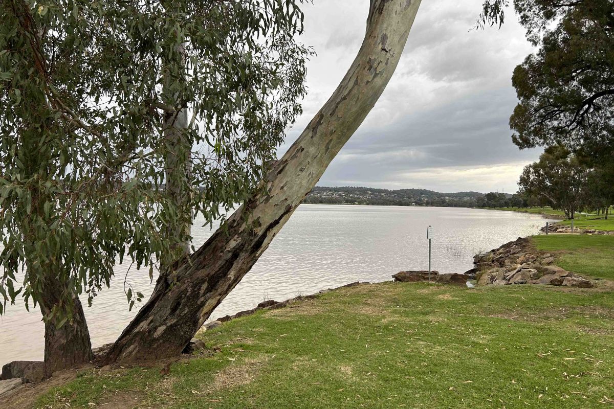 Lake Albert in overcast conditions