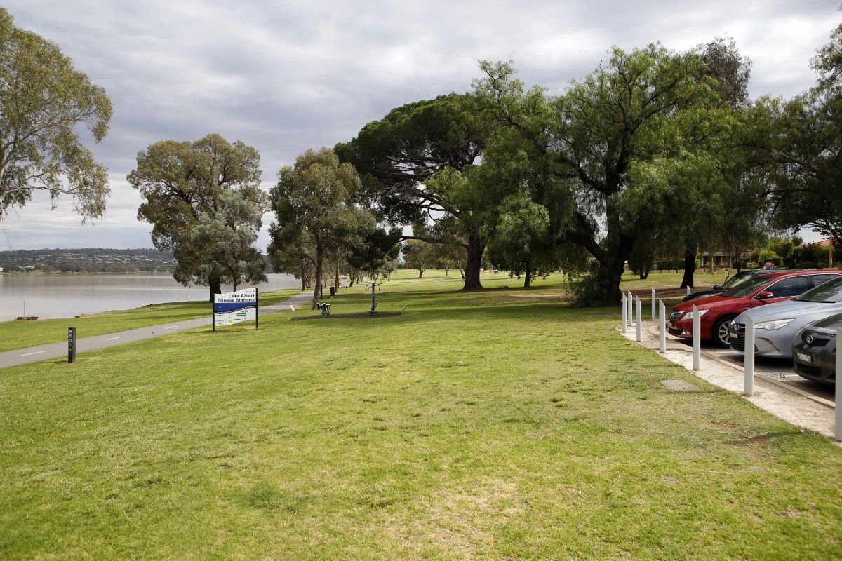 Grass and trees along the foreshores of Lake Albert