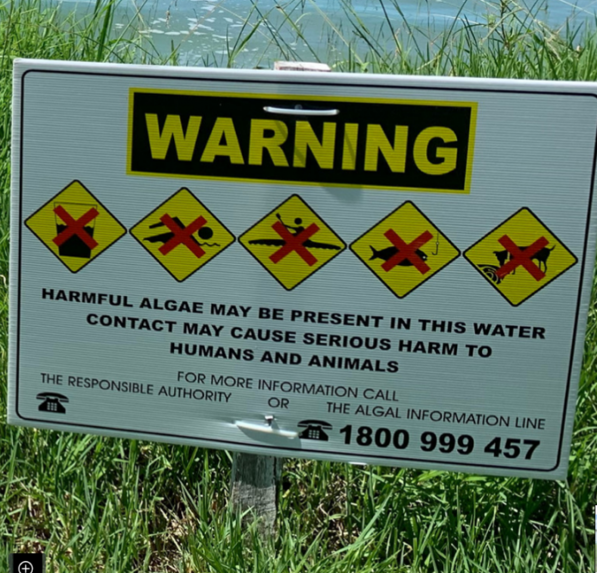 A warning sign advising people and animals to avoid contact with the water in Lake Albert. 
