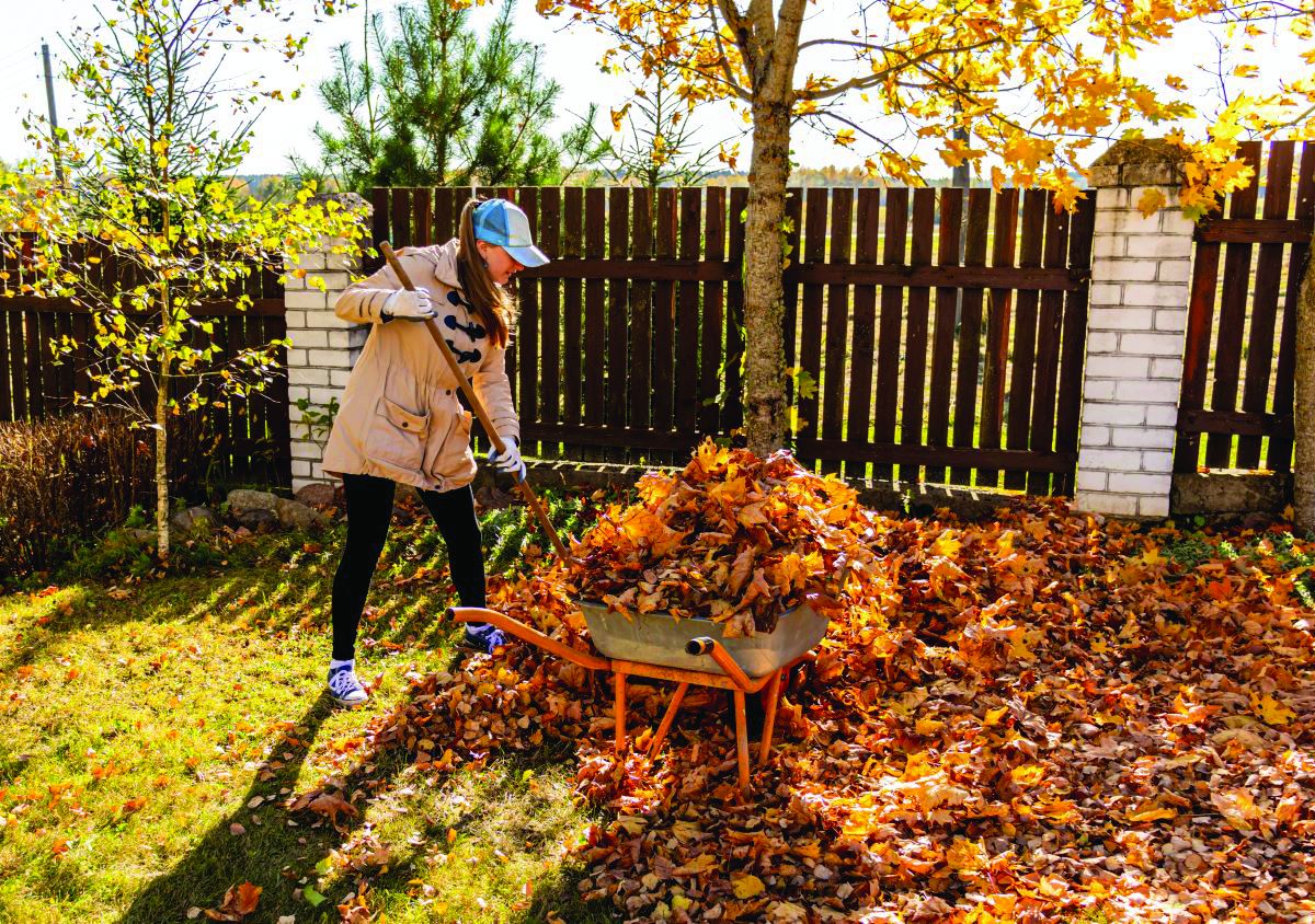 A person raking up leaves