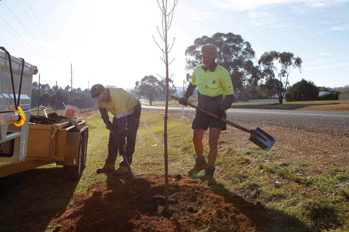 Two men dressed in high-visibility work clothing holding shovels and moving loose soil around a newly dug hole. A young tree stands in the hole central to the image.