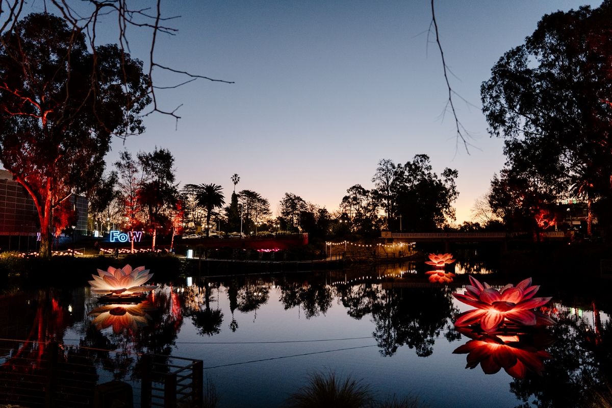 FoW sign lit up at Wollundry Lagoon and showing lilies at night time