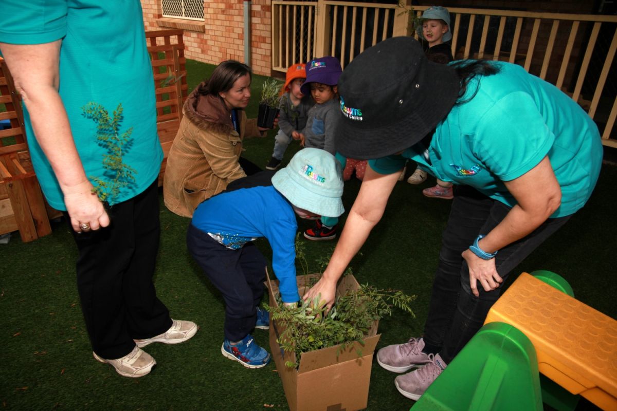 Teachers and students looking and grabbing at seedlings in a box.