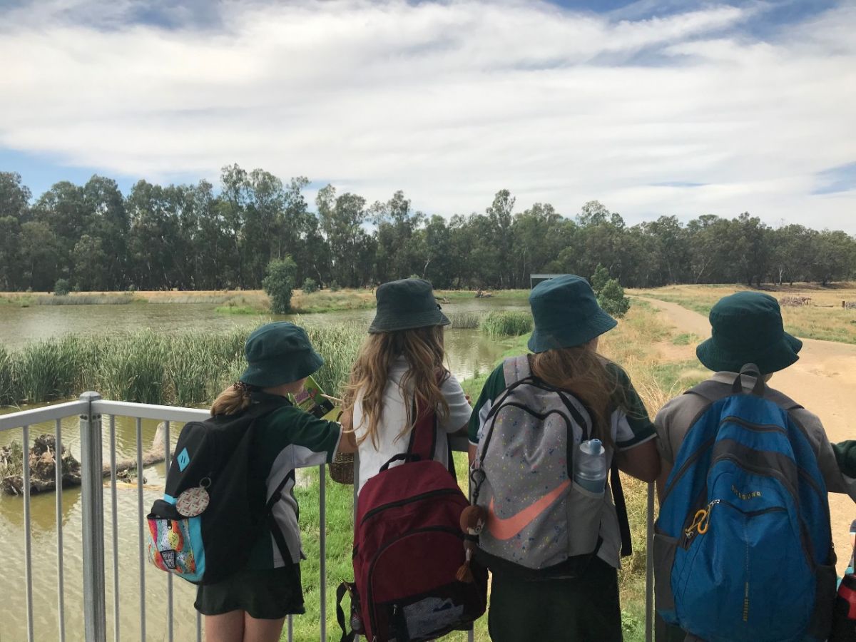 A group of school children look across a wetland