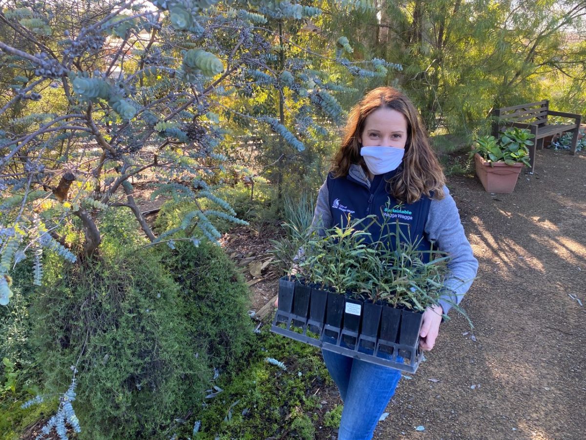 Woman holding tray of seedlings