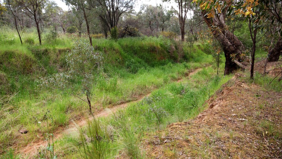 Dirt storm water channel through bushland