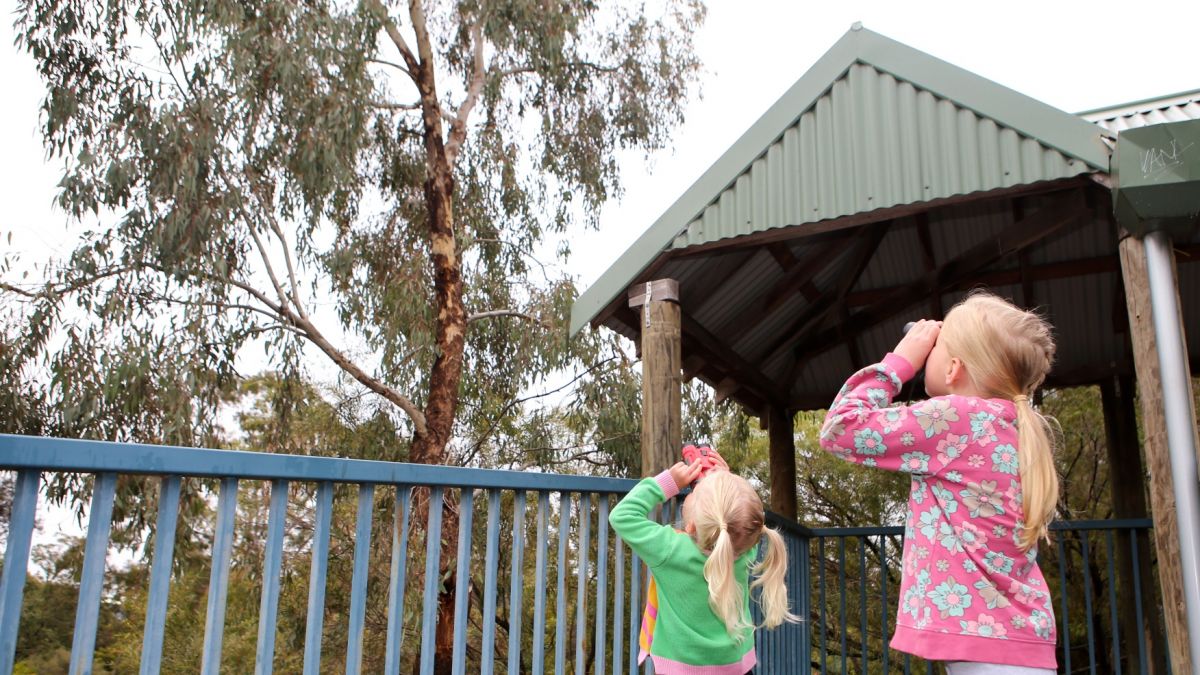 Two girls standing on platform and looking through binoculars