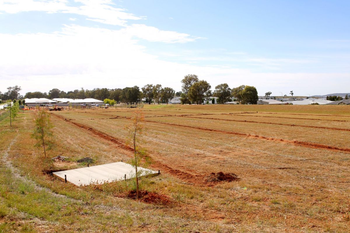 open grassed area with irrigation trenches dug