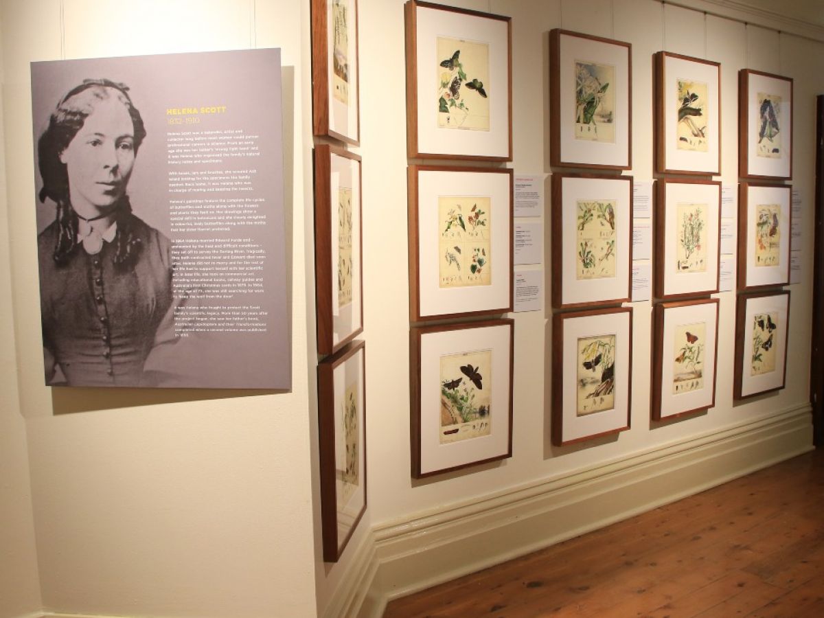 A black and white photograph of a woman beside a wall covered in botanical artworks