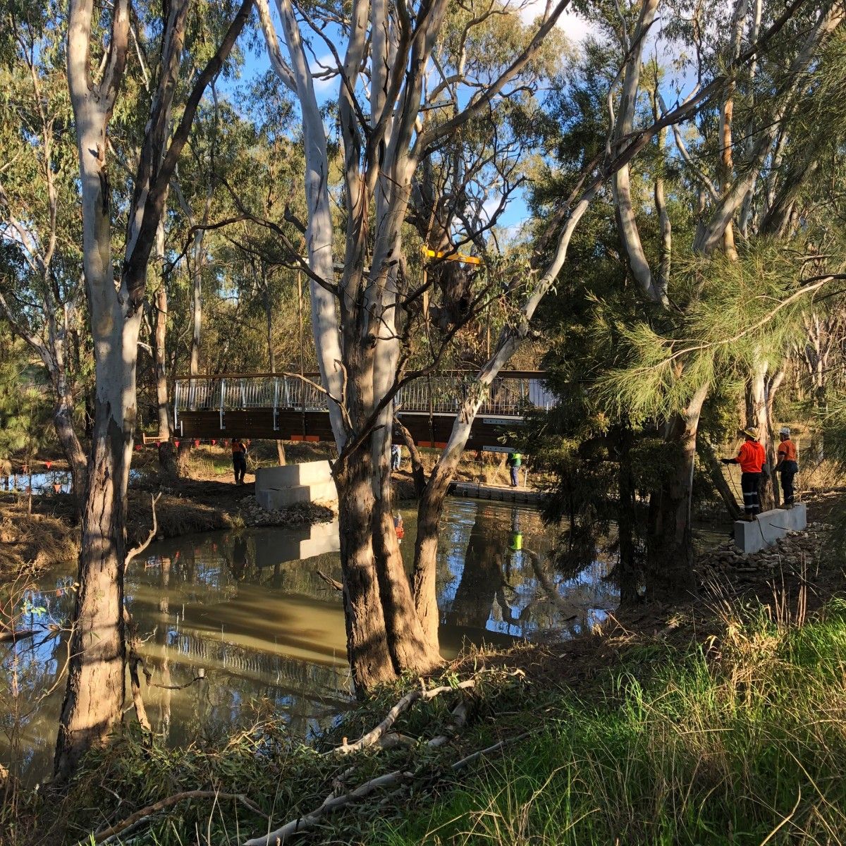 Footbridge being lowered between trees on banks of lagoon anabranch