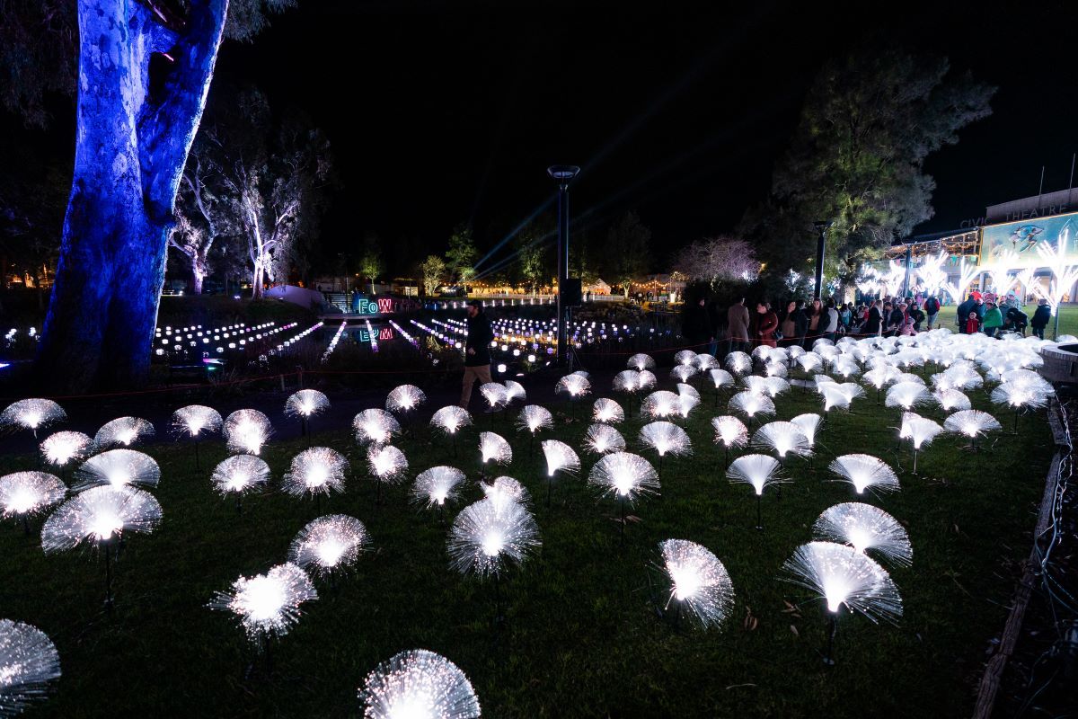 A field of white fibre optic lights illuminated at night.  