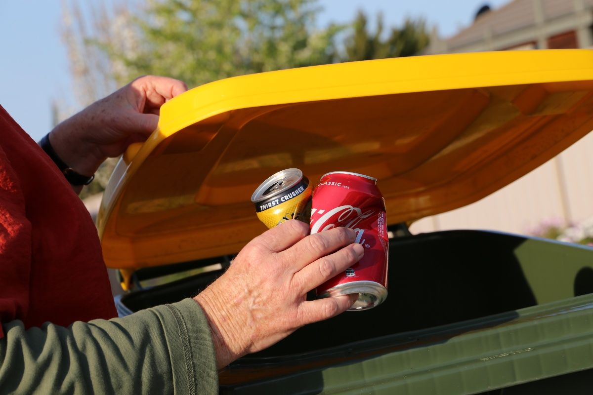 Close up shot of an older woman's hands. The woman is outside, her left hand is holding open the yellow lid of a recycling bin, and her right hand holds two empty aluminum cans that she is placing in the bin.