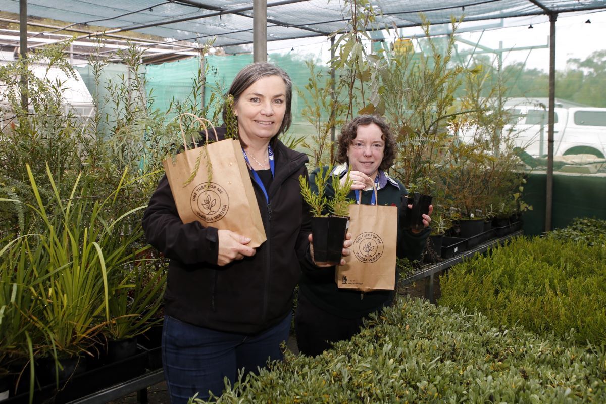 Two woman standing in a plant nursery holding brown paper bags with native seedlings.