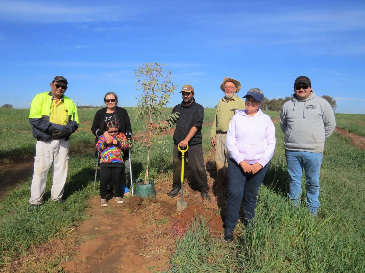 Members of the local Wiradjuri community gathered around a sapling