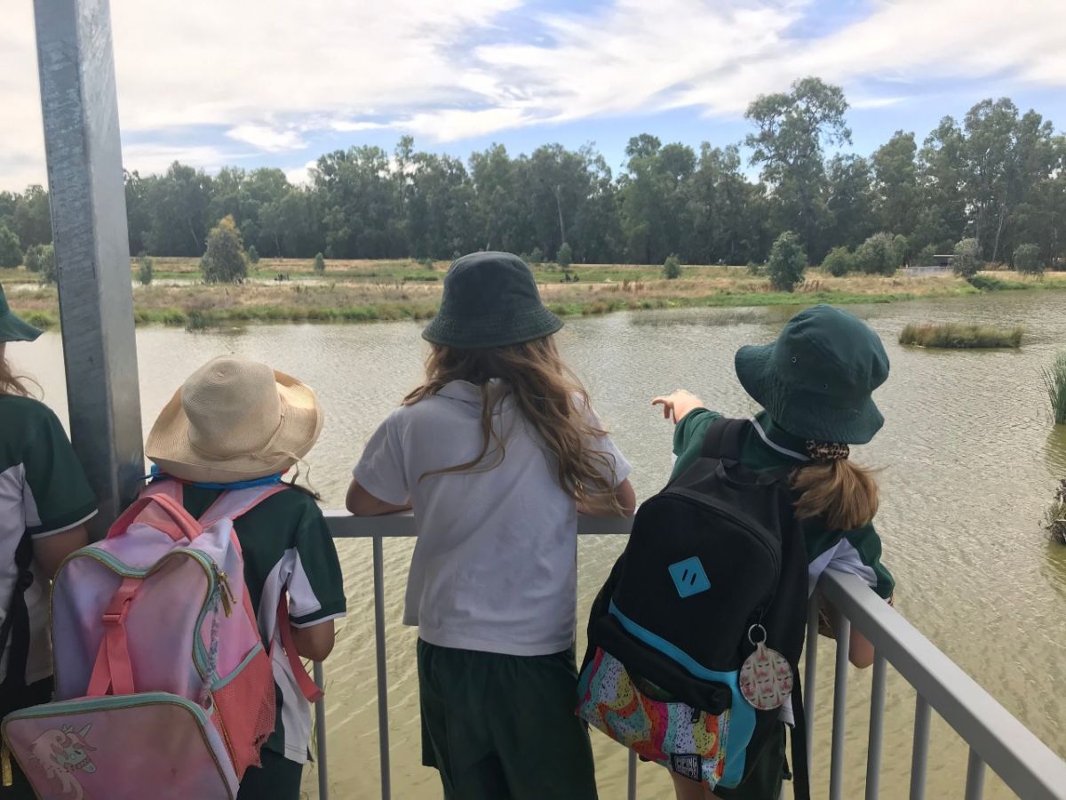 A group of school children look across a wetland