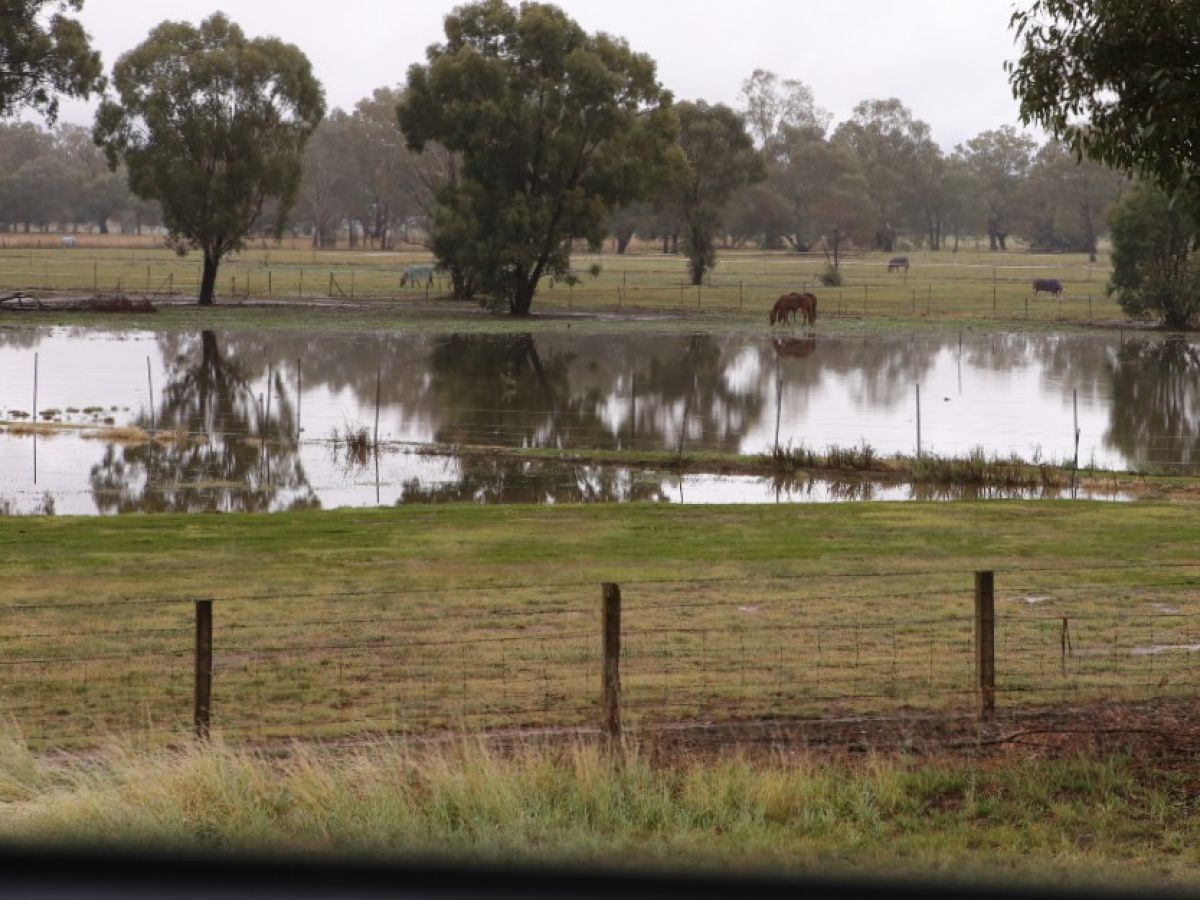 Flooded paddock