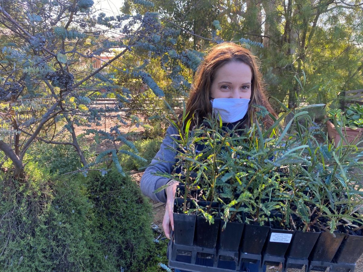 Woman with seedlings