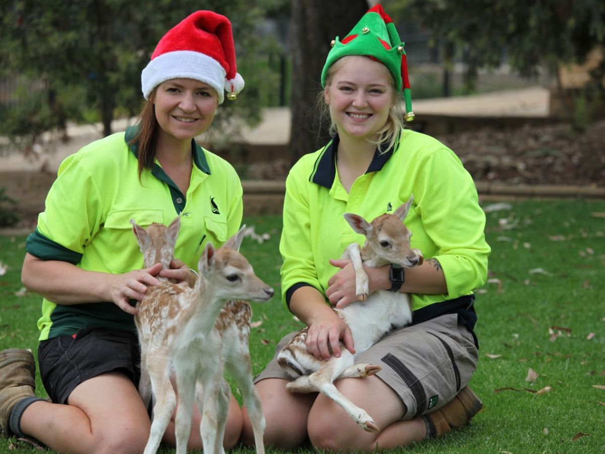 two women with baby deer