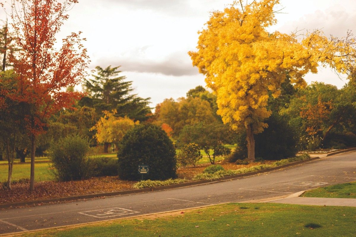 Disabled parking signs on road