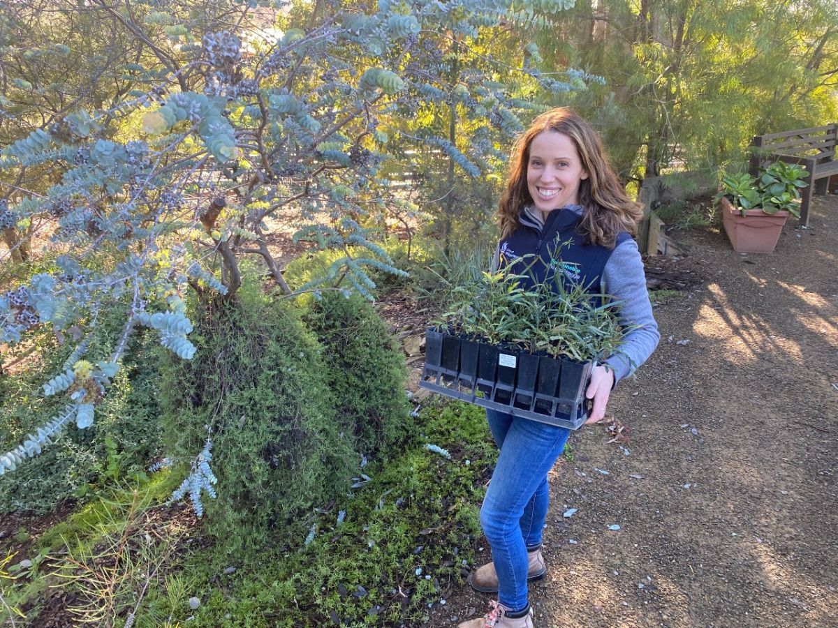 Woman holding tray of seedlings