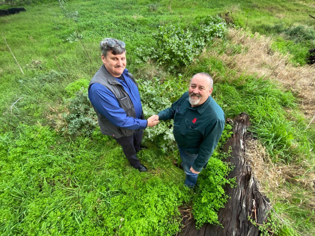 Two men shaking hands in a rural setting