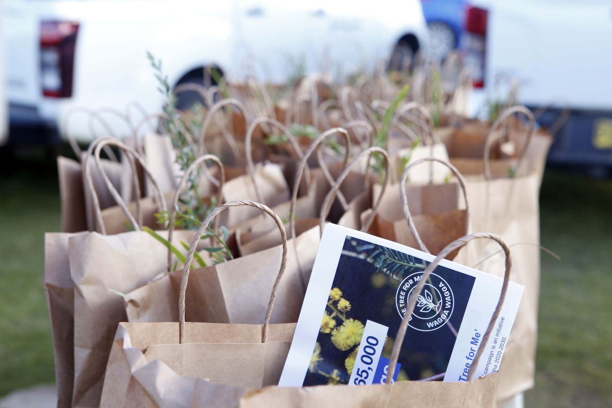 Paper bags with tips of seedlings peeking out the top and the front bag containing a One Tree for Me flyer