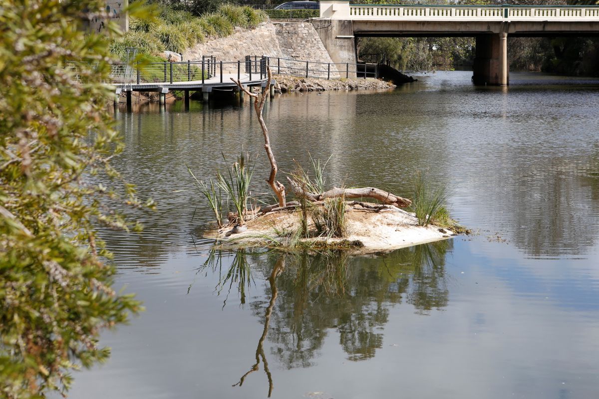 Wide shot of the exhibition floating on Wollundry Lagoon.