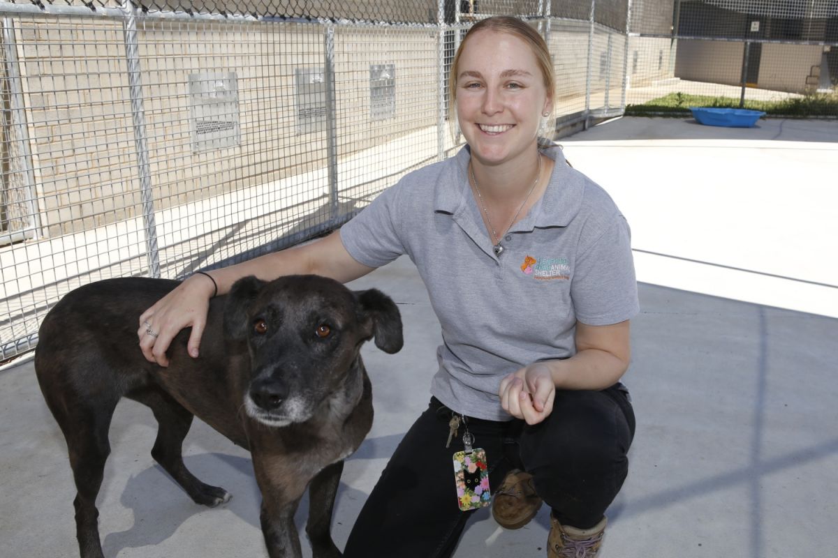 Animal Welfare Officer Courtney Krause crouches on the right with her arm around brown mixed breed dog Tessa. 