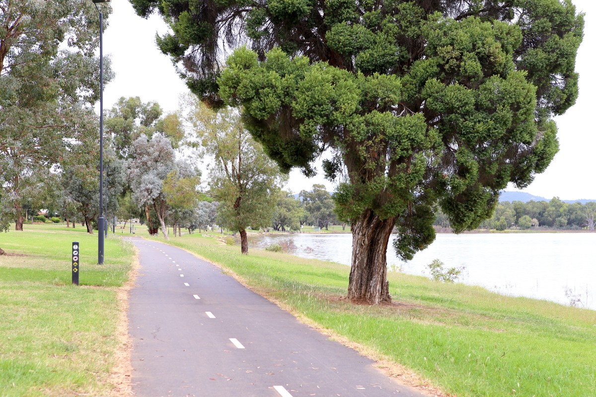 Shared sealed cycle and pedestrian path along foreshores of Lake Albert.