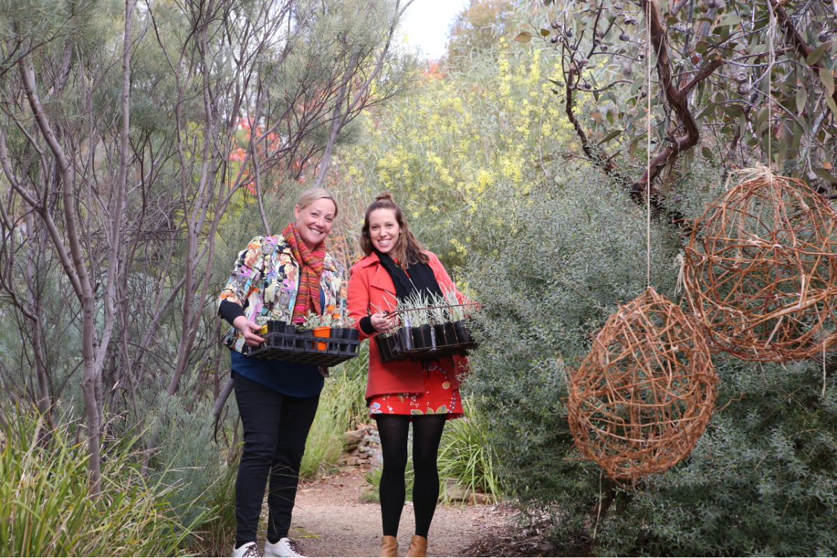 Two women with seedlings