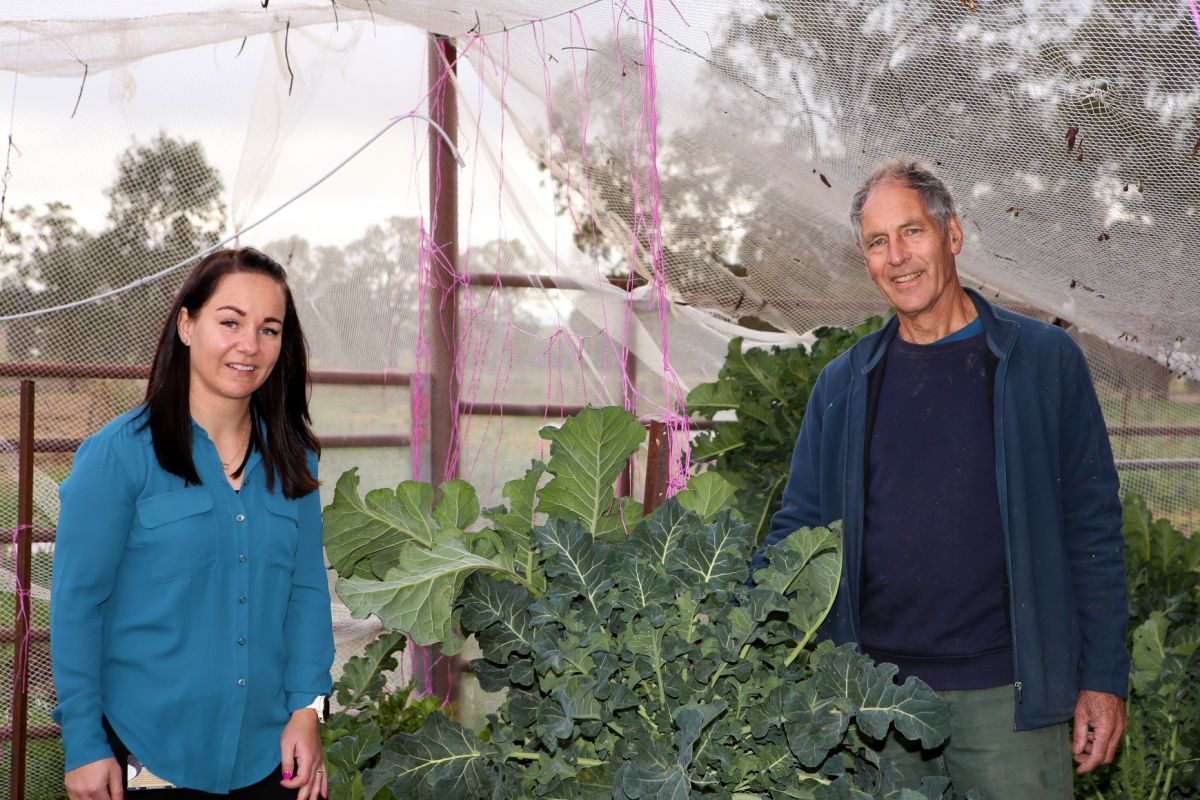 Woman and man standing on either side of growing vegetable plant