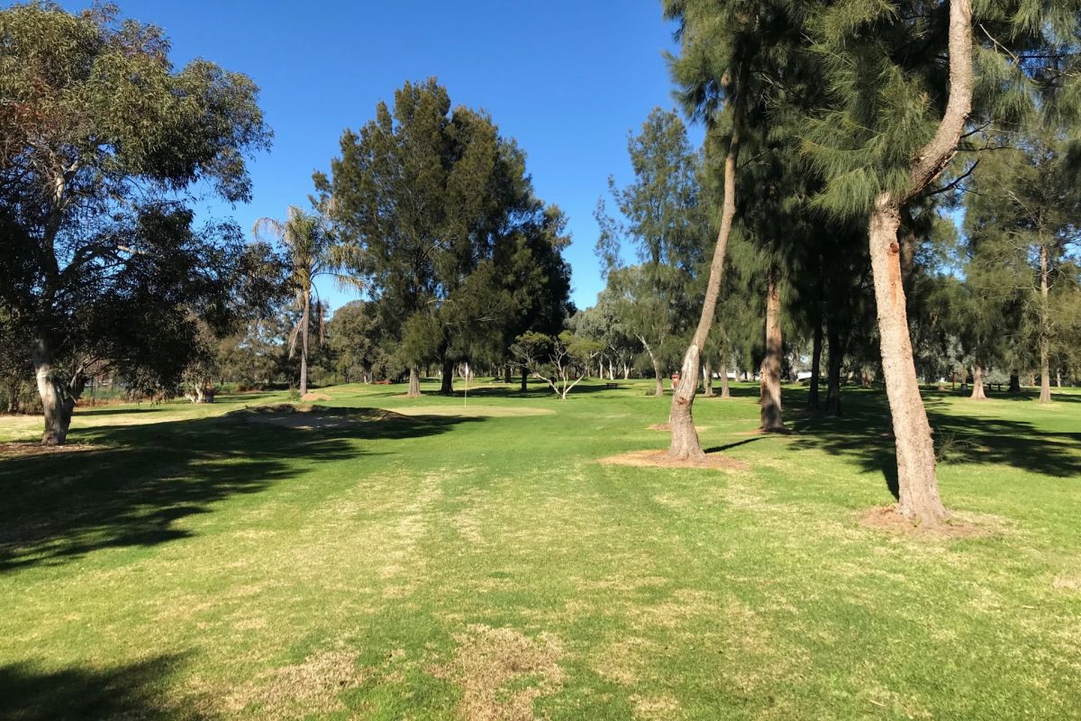 Golf fairway with green grass & trees