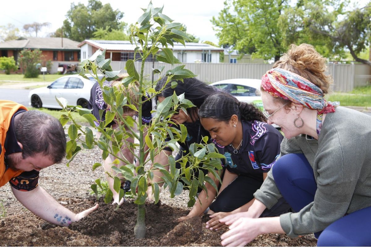 Adults and school students planting tree for Reconciliation Week
