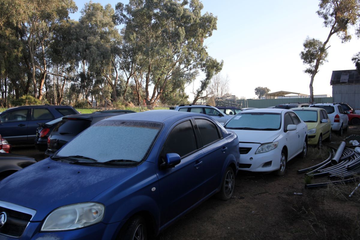 Cars in impound yard