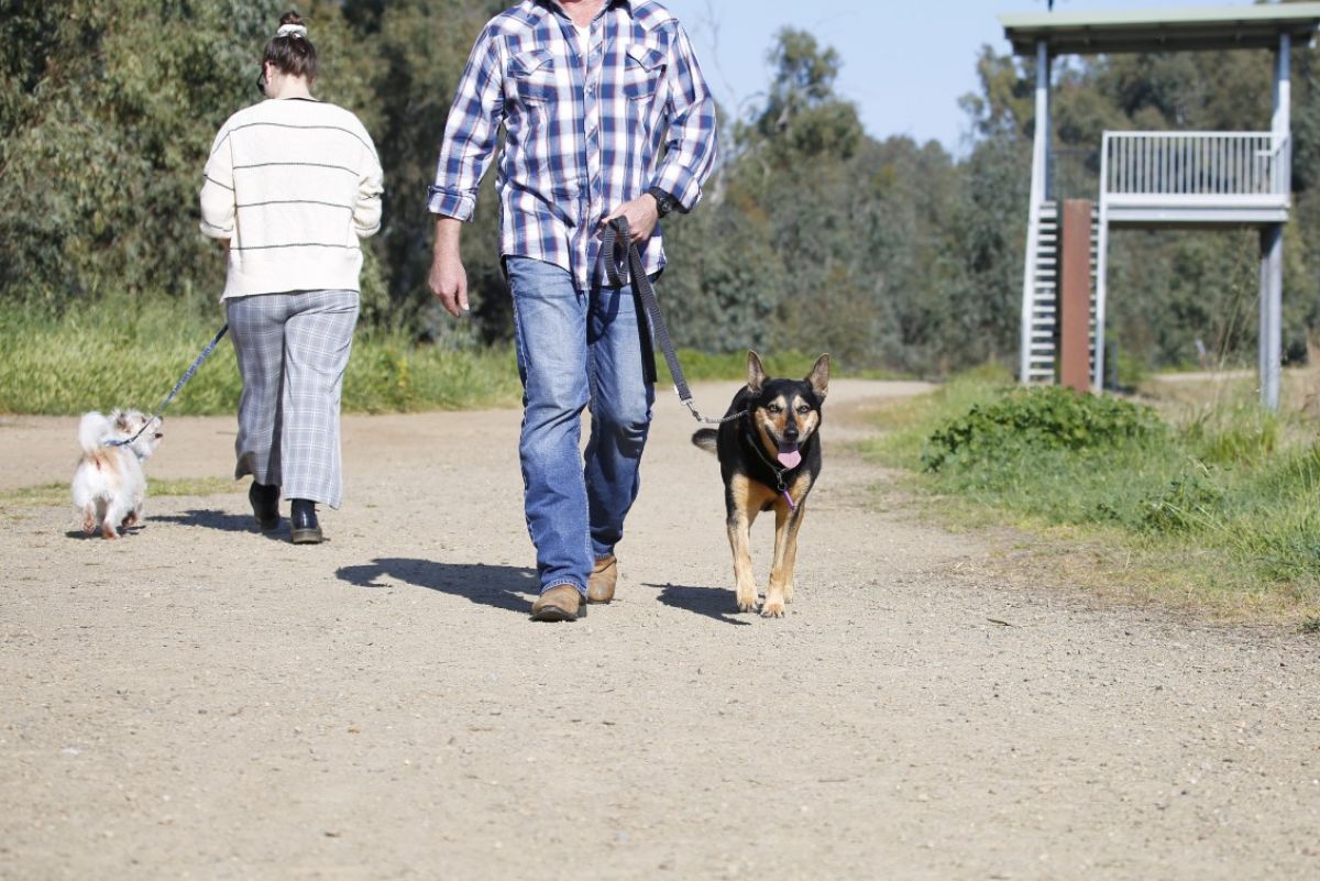 Man with dog on leash and woman with dog on leash past each other on gravel path at Wetland