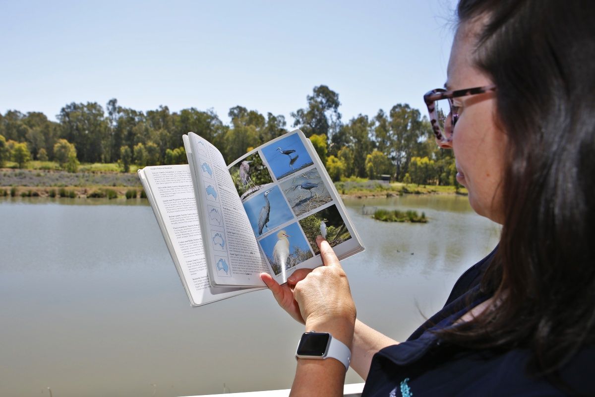 Over the shoulder shot of an open book titled 'Birds of Australia' which is being held by Council Environmental Officer Samantha Pascall. Her left hand points to an image of a Great Billed Heron.