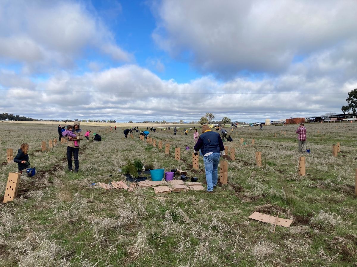 Several people working in a paddock.