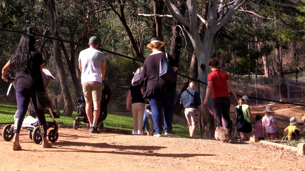 Group of adults and children walking along path beside animal enclosure fence