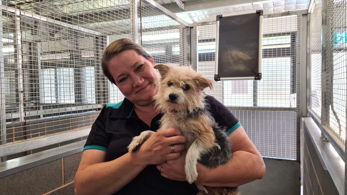 Woman holding dog in her arms