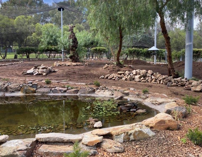 Zoo & Aviary upgrades continue towards re-opening | Council News