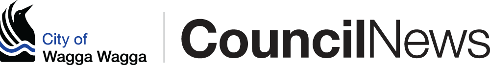 Council News logo