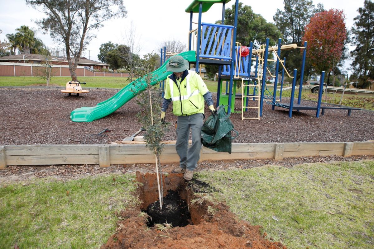 A man in high vis plants a tree next to a playground. 