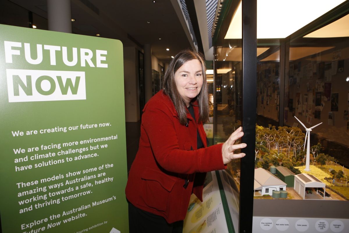 Council Environmental Education Officer Christina Reid takes a look at the diorama in one of the free-standing pods in the Civic Centre arcade as part of the Future Now exhibition.