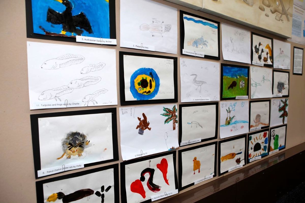 A wall covered in artworks of animals and plants drawn and painted by children. 