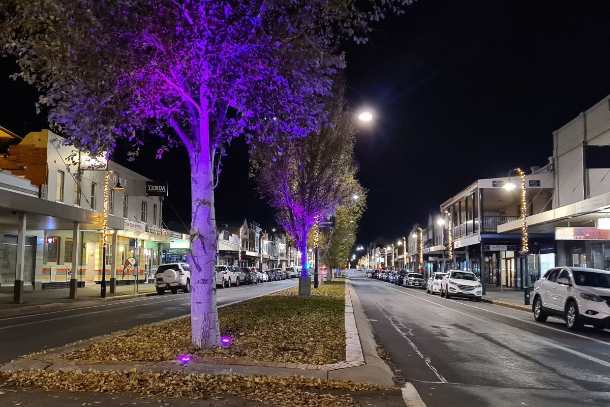 A street scape at night time. There are businesses on either side of the street and a median strip down the centre of the street has purple up-lighting. 
