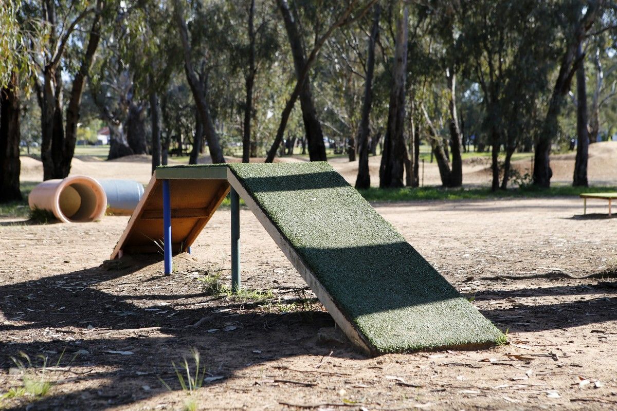 Dog agility ramp in the foreground with a concrete pipe tunnel in the background.