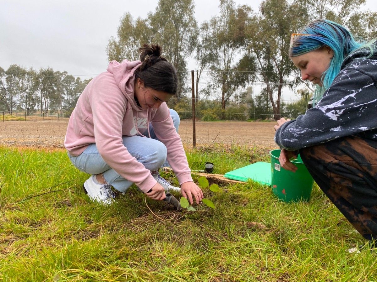 Two teenage girls plant a seedling