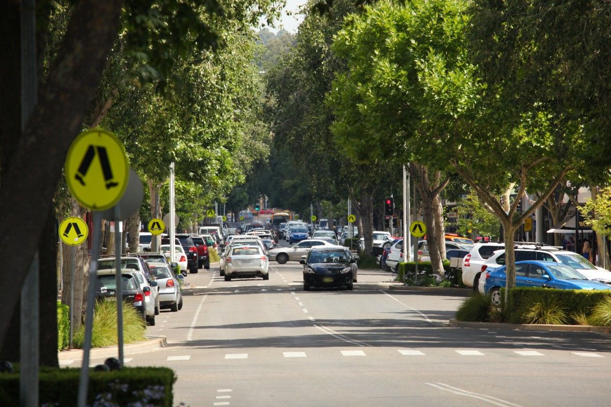 Tree lined main street in Wagga Wagga with vehicles on the road.
