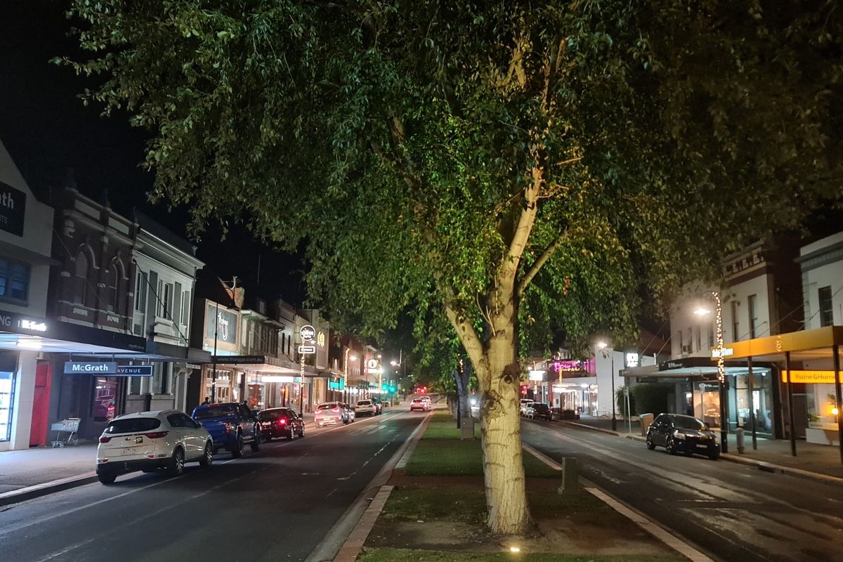 Trees along the Fitzmaurice Street lit up March 2025 for Endo Enlightenment.