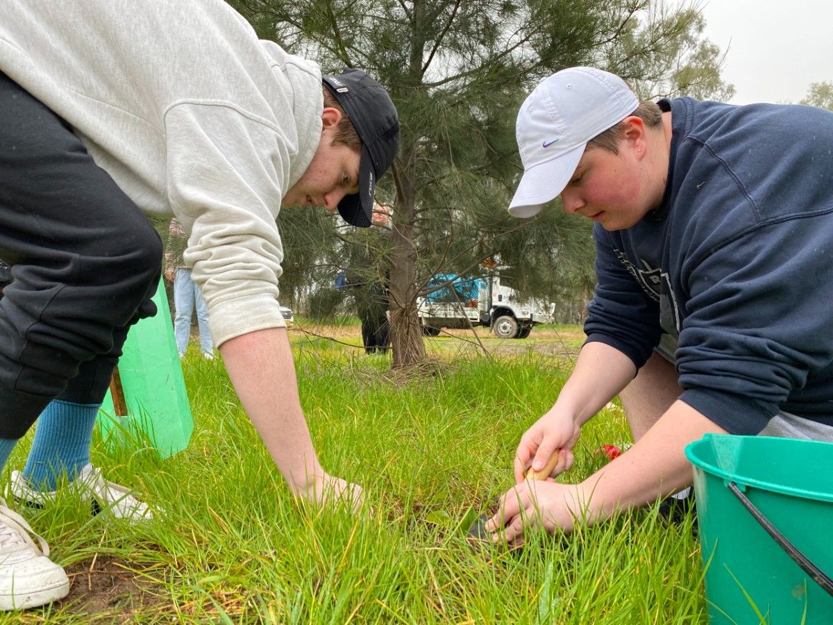 Two teenage boys plant a seedling